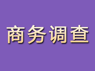 稻城商务调查